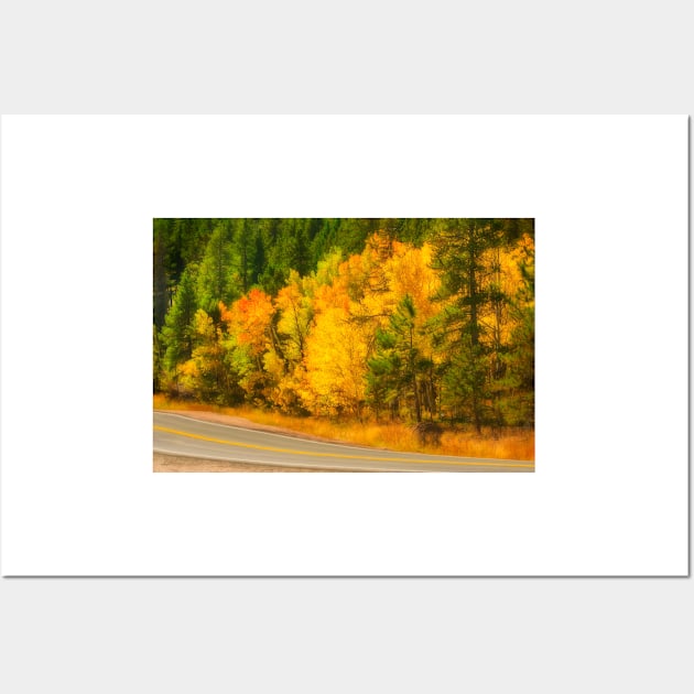 Autumn Yellow Aspen Wall Art by art64